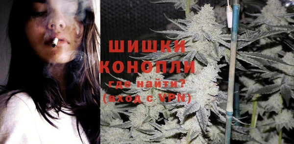 гидра Арсеньев