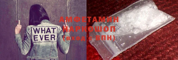 стаф Алзамай